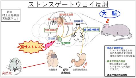 病氣|病氣的解釋